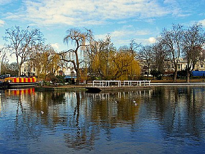 Calm Waters