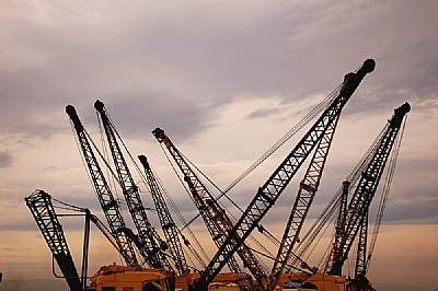 iron trees
