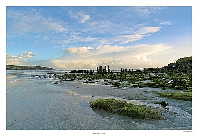 Harbour View