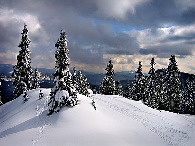 The Rhodopes