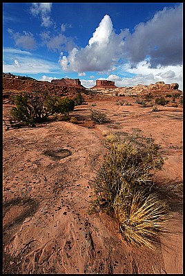 Moab Desert