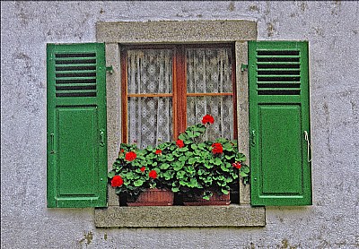 Window