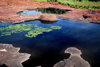 Rock Pool 3