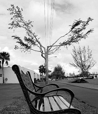   Wrought Iron & Wooden Bench  