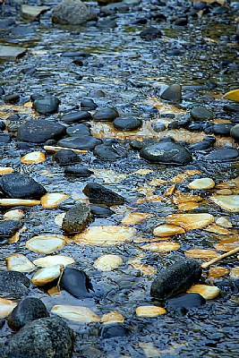 Landscaped Oriental Stream