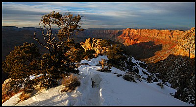 Grand Canyon I