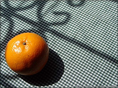 The lonely tangerine