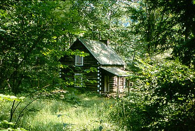 CABIN IN THE SUMMER