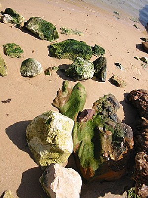 green stones