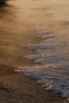 morning shore