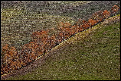 paesaggio Toscano #4