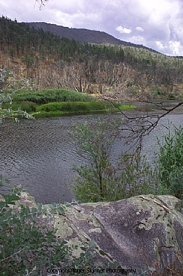 Banks of the Snowy River