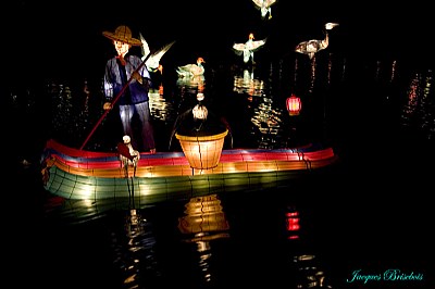 chinese lanterns 42