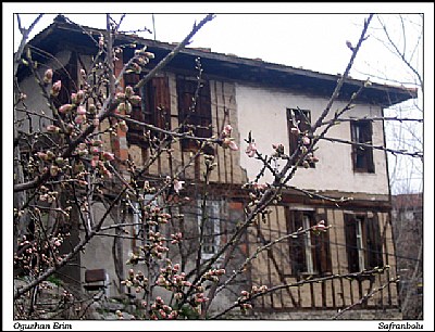 Safranbolu / 1