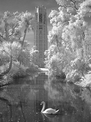 Bok Tower in Infrared