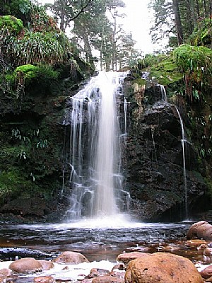 Hindhope Linn