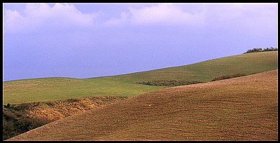 paesaggio Toscano #5