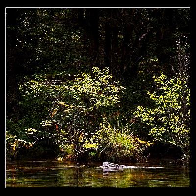 Fall Morning light