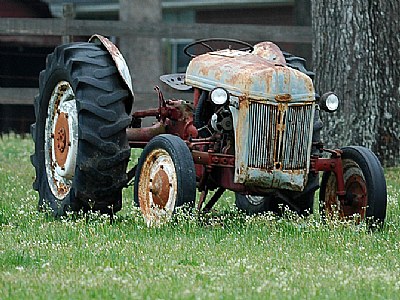 Out to Pasture