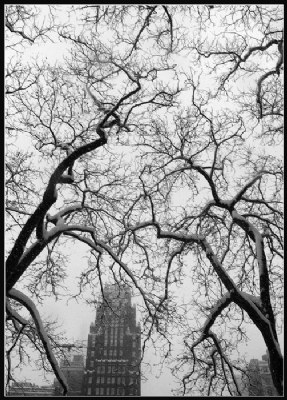 Bryant Park Hotel