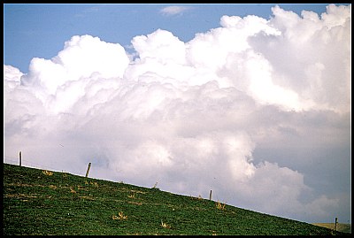 paesaggio Toscano #12