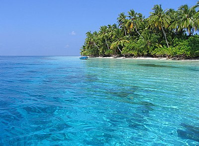 Crystal Waters