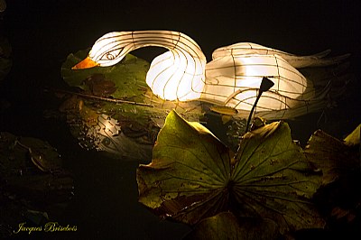 chinese lanterns 43