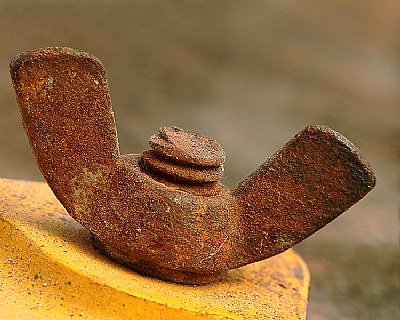 Rusty Wingnut #2