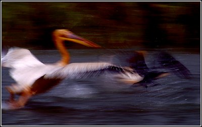 Blurred landing