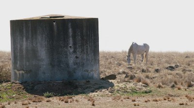 Tank & Horse