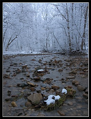 Morning Creek-2