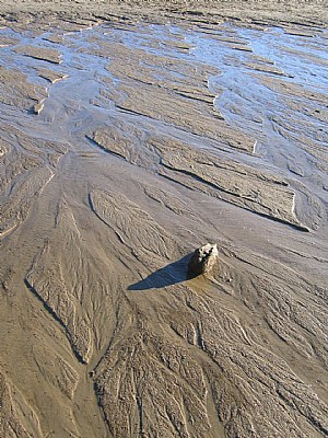 Low Tide