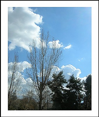 cotton clouds...