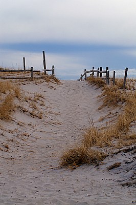 Beach Path