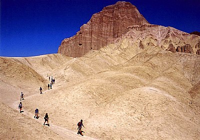 Hiking Along