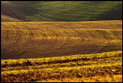 paesaggio Toscano #25