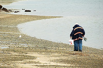 Old Fisherman