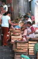 mexican market