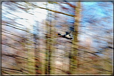 take off