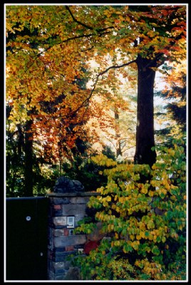 Autumn in front of the door