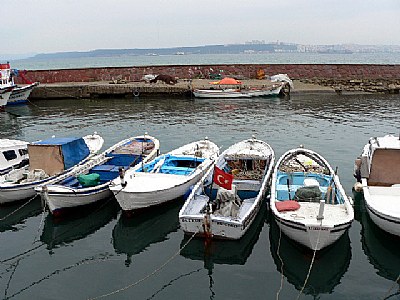 From the Boathouse