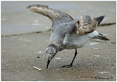 Balancing act