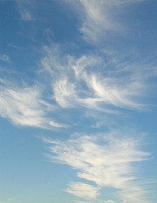 fluffy feathers.....
