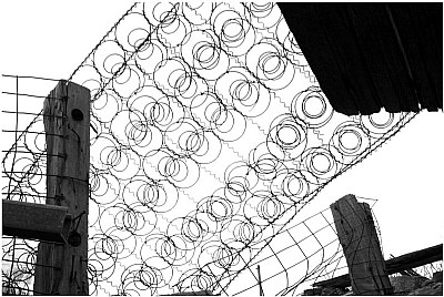 Bedsprings and Fence