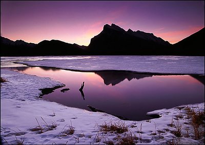 Alone in the Cold