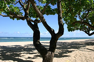 Balinese Beach  