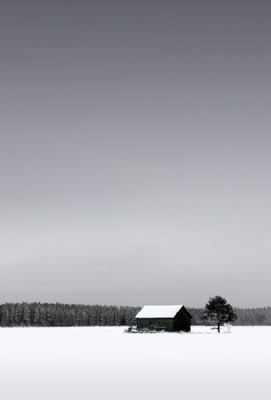 Fields of Finland