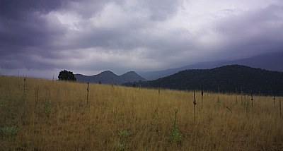 Suggan Buggan Common