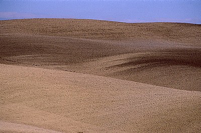 Dune nostrane