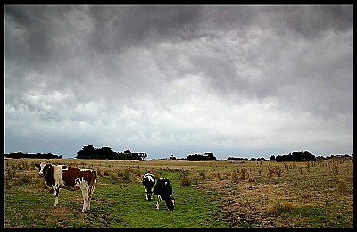 storm over farm